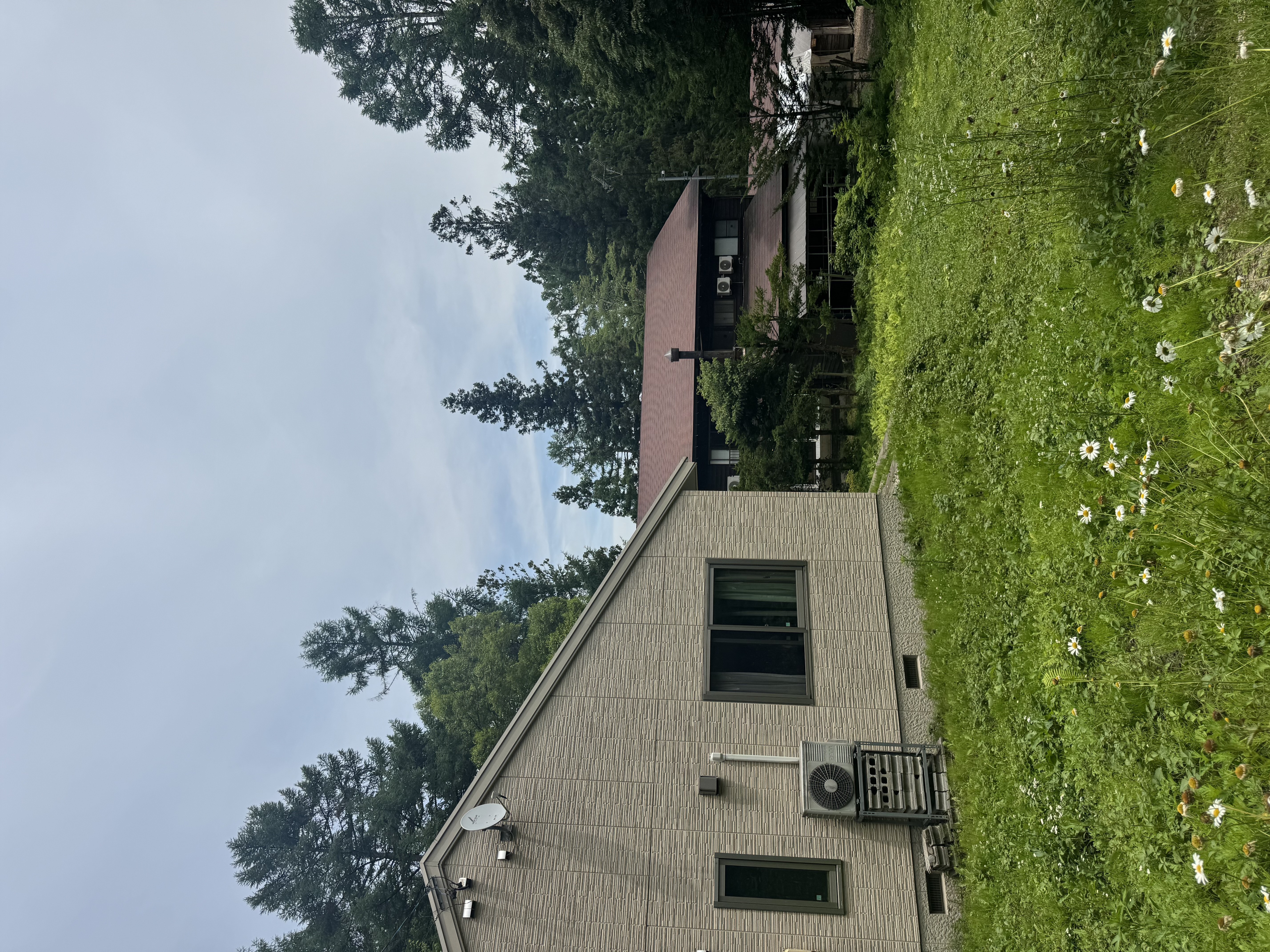 House and garden in summer